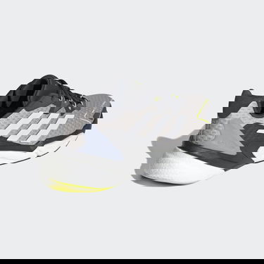 Sneakers och skor adidas Performance X9000L3 COLD.RDY Grå | FZ4088, 1