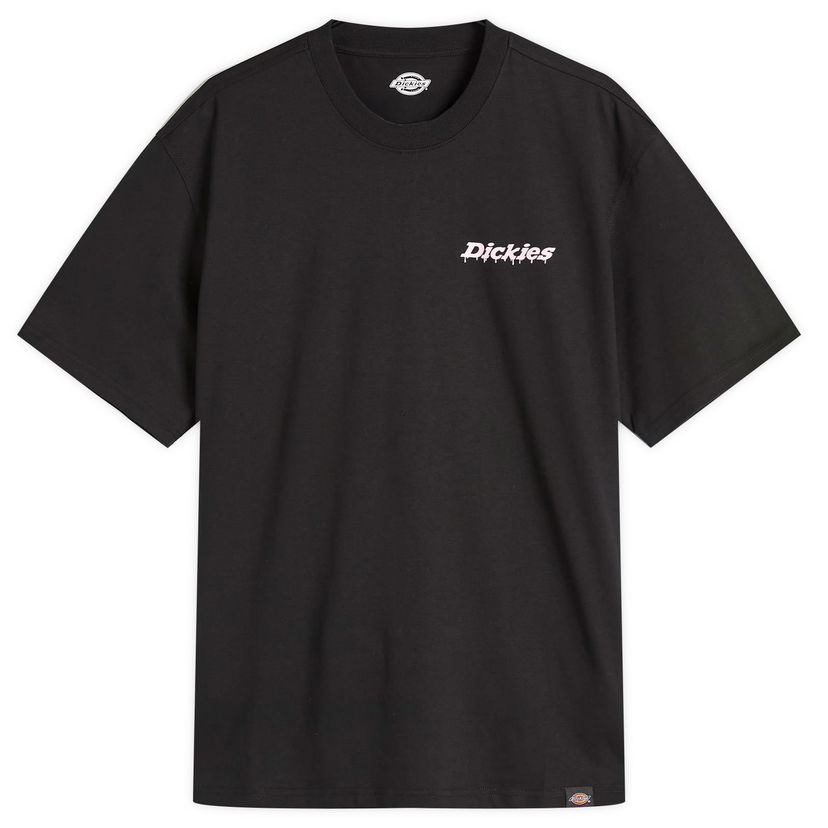 T-shirt Dickies Statesville T-Shirt, Size Large Svart | DK0A87QPBLK1