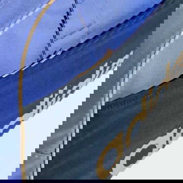 Resväska adidas Performance BMW Berlin Marathon 2024 Vintage Travel Bag Blå | JG8788, 4