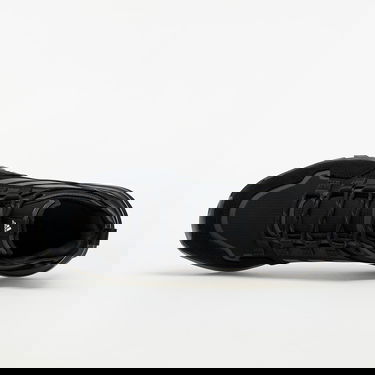 Sneakers och skor adidas Performance Terrex Hikster W Svart | FW0387, 2