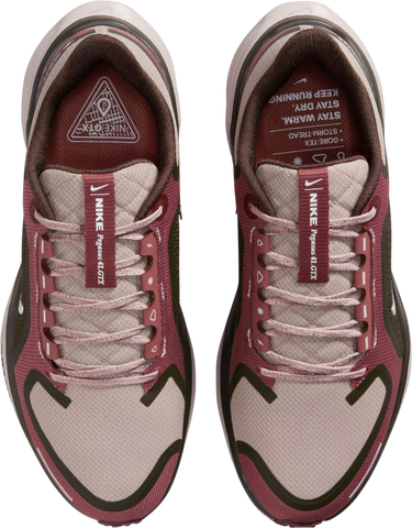 Sneakers och skor Nike Pegasus 41 GORE-TEX Bourgogne | fq1357-200, 2