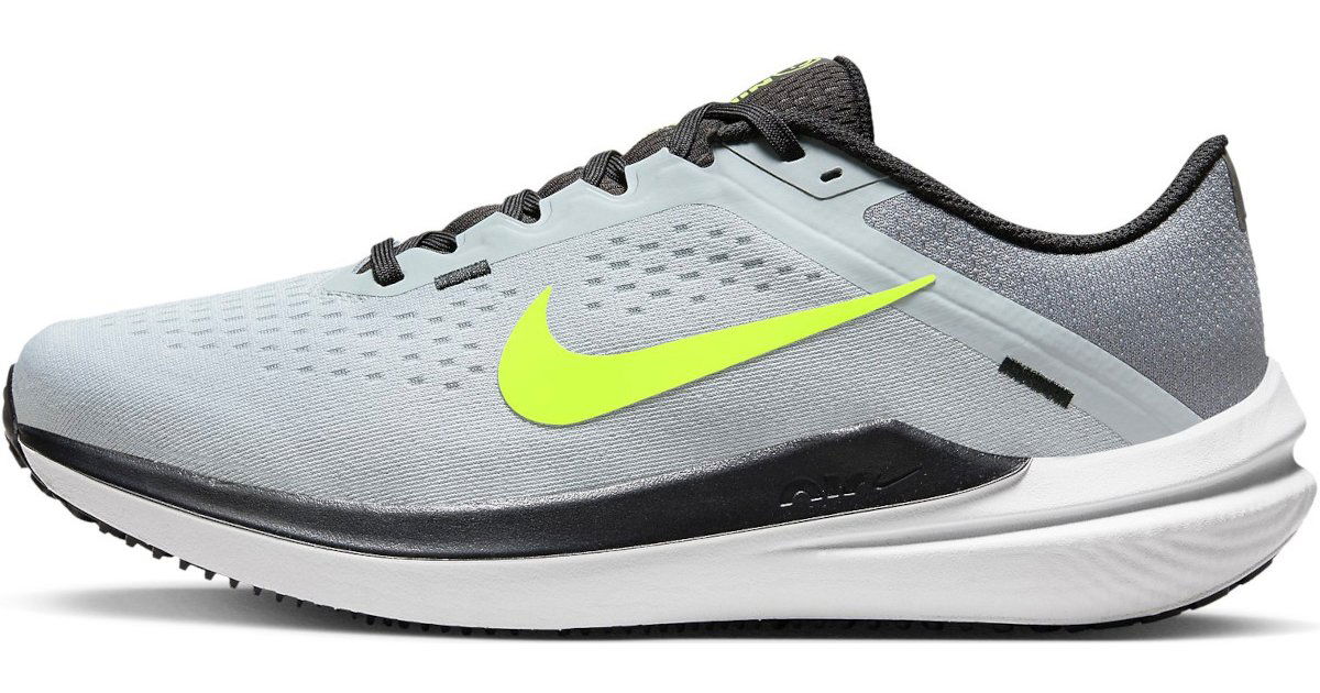 Sneakers och skor Nike Winflo 10 Grå | dv4022-007, 1