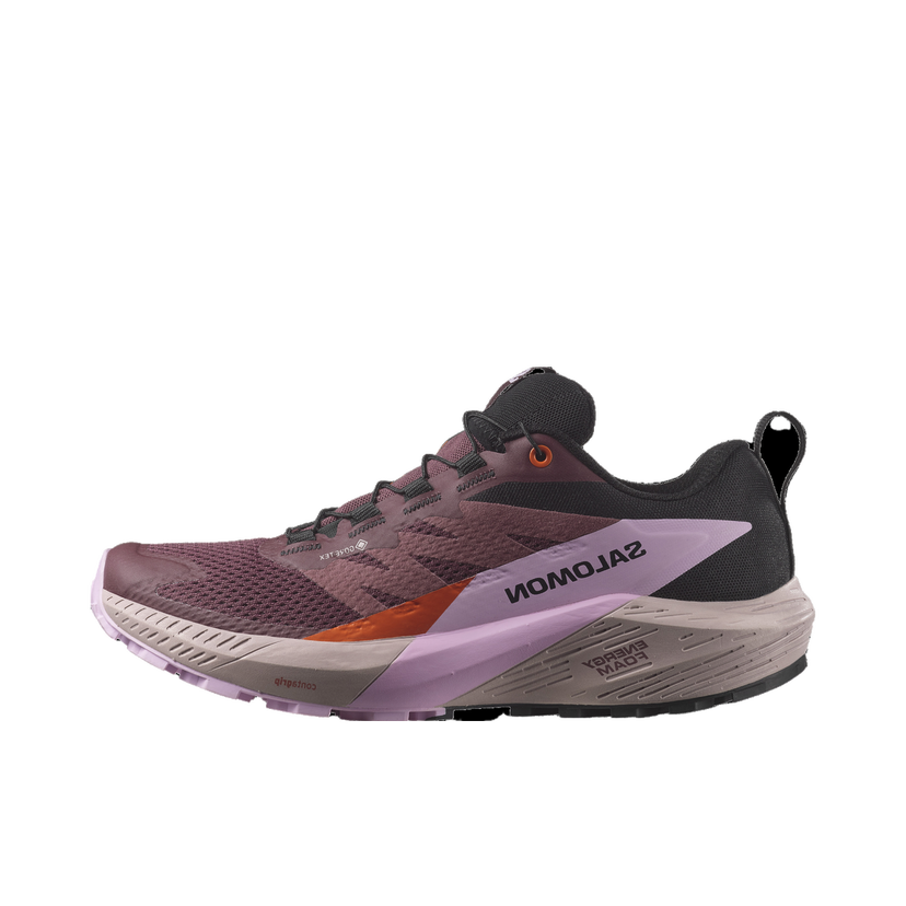 Löpning Salomon SENSE RIDE 5 GTX W Bourgogne | l47592300