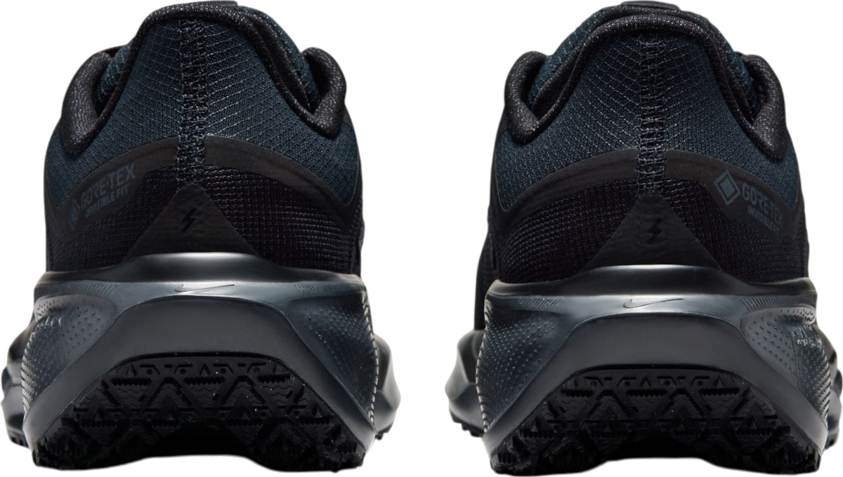 Sneakers och skor Nike Pegasus 41 GORE-TEX Svart | fq1357-001, 1
