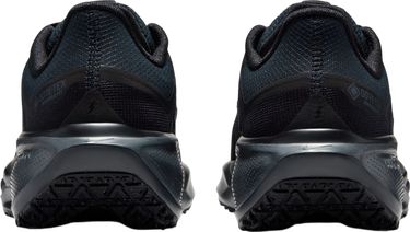 Sneakers och skor Nike Pegasus 41 GORE-TEX Svart | fq1357-001, 1