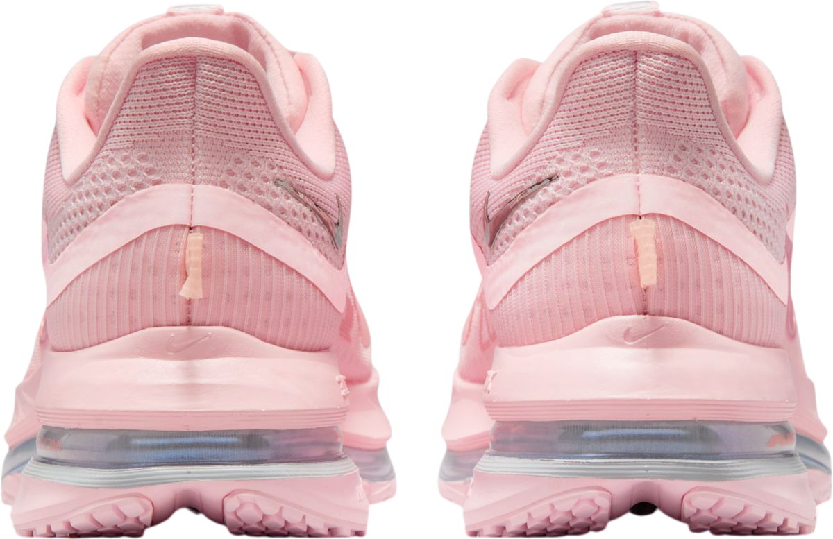 Sneakers och skor Nike Pegasus Premium Rosa | hq2593-601, 1