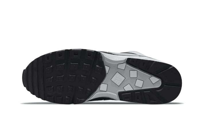 Sneakers och skor Nike Air Max BW ''Lyon'' Grå | DM6445-001, 1