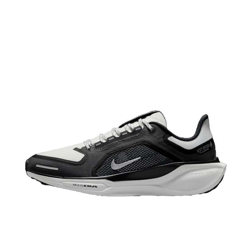 Löpning Nike Pegasus 41 GORE-TEX Svart | fq1357-002