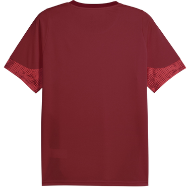 Jersey Puma Galatasaray Istanbul Patterned DRYCELL Training Jersey Bourgogne | 949105-003, 1