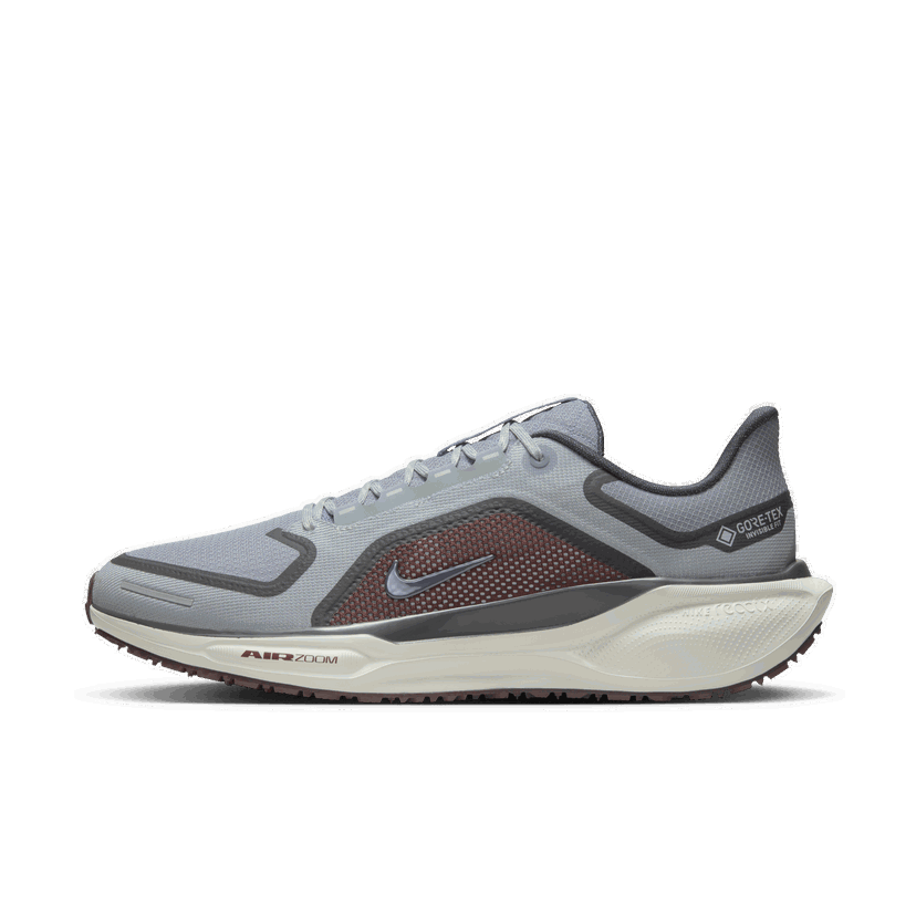Löpning Nike Pegasus 41 GORE-TEX Grå | FQ1356-003