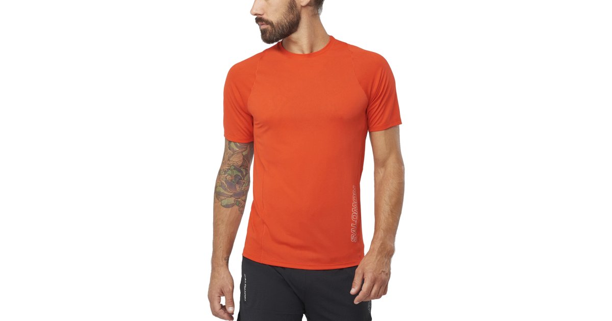 T-shirt Salomon Sense Aero Tee Orange | lc2041400, 1