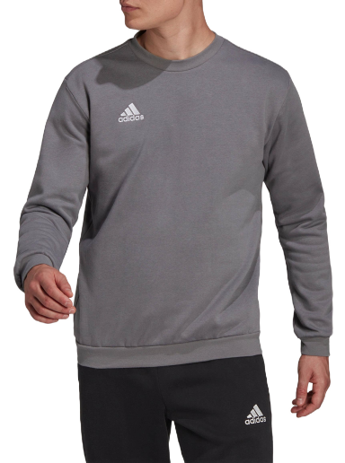 Sweatshirt adidas Originals Sweatshirt Entrada 22 Grå | h57479