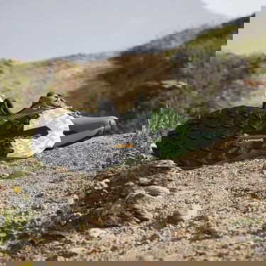 Sneakers och skor adidas Performance adidas TERREX TRAILMAKER 2 GORE-TEX Grå | IE5150, 4