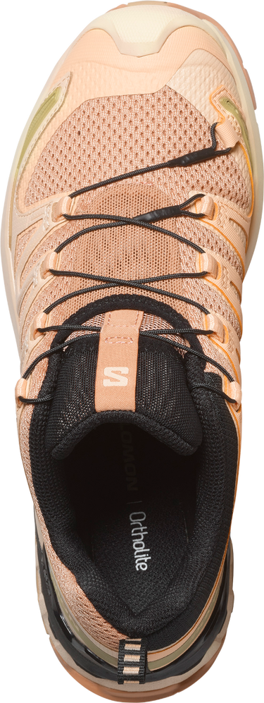 Sneakers och skor Salomon XA PRO 3D V9 W Beige | l47589100, 4