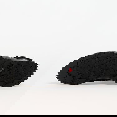 Sneakers och skor Salomon X-Alp Mid Ltr GTX Svart | L47638700, 1