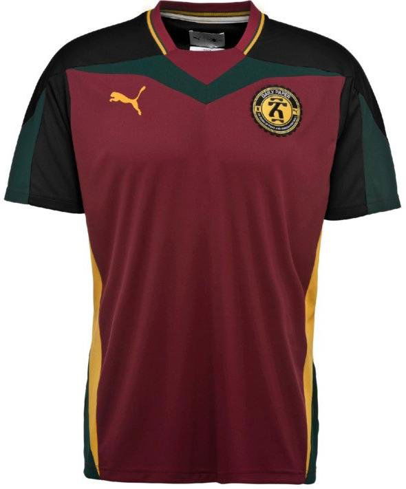 T-shirt Puma Daily Paper x Tee Bourgogne | 574170-095