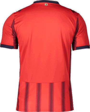 Jersey Puma Puma 1. FC Heidenheim Home Jersey 2025/26 Röd | 6fch785889-01, 1