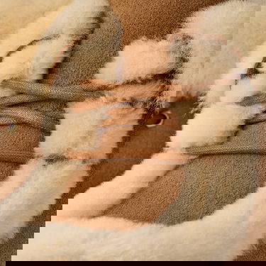 Sneakers och skor UGG UGG Classic Esmee Suede Boots Brun | 1171532-CHE, 4