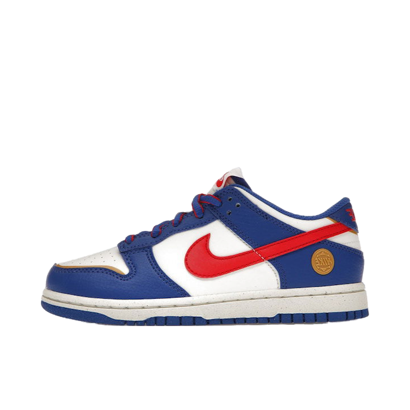 Sneakers och skor Nike Dunk Low Next Nature Superhero (PS) Blå | FD0673-400