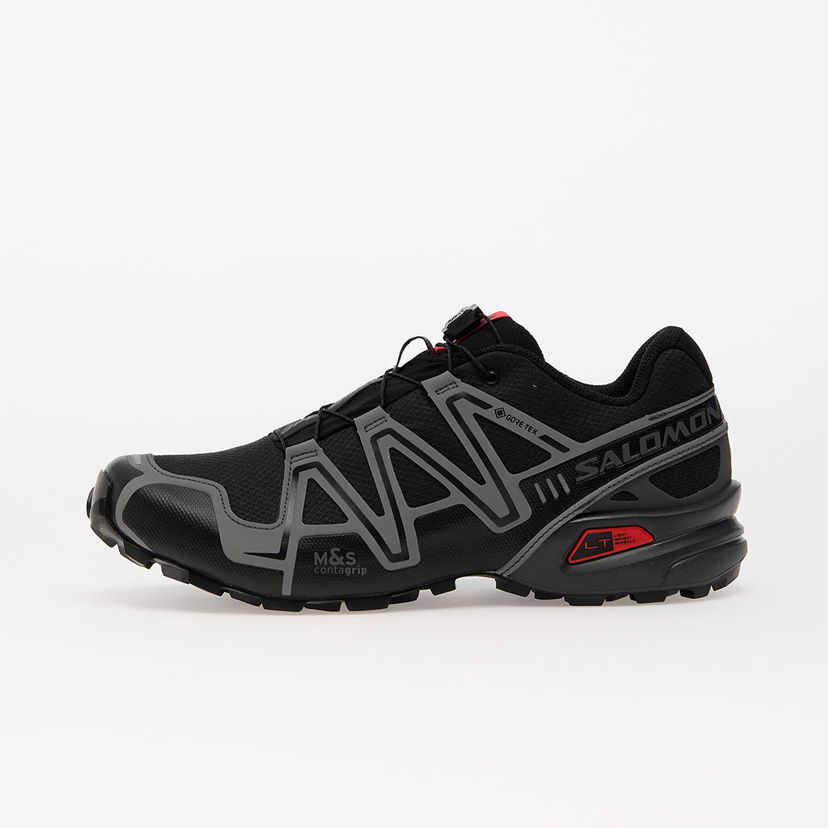 Sneakers och skor Salomon SPEEDCROSS 3 GTX Svart | L47731700