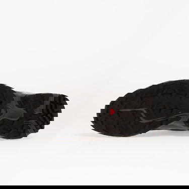 Sneakers och skor Salomon XT-6 Grå | L47864100, 1