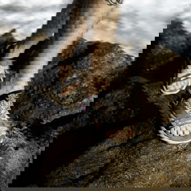 Sneakers och skor adidas Performance Terrex Hydroterra Light Grå | IF3102, 4