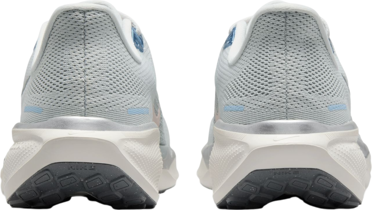 Sneakers och skor Nike Pegasus 41 Grå | fd2723-007, 1