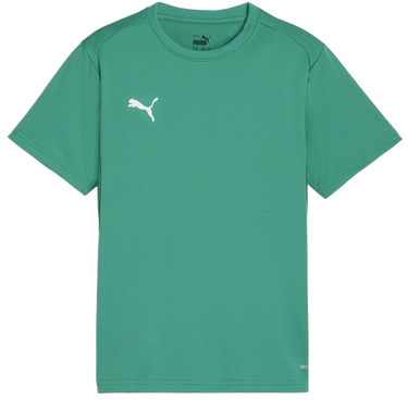 T-shirt Puma teamGOAL T-Shirt Grön | 658636-05, 0
