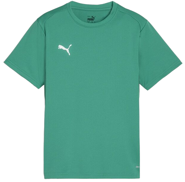 T-shirt Puma teamGOAL T-Shirt Grön | 658636-05