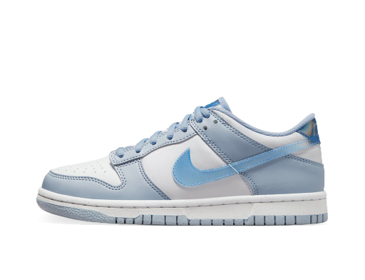 Sneakers och skor Nike Dunk Low Next Nature Blue Iridescent (GS) Blå | FJ4668-400