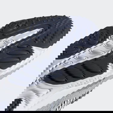 Sneakers och skor adidas Originals Ozweego Grå | FV9650, 5