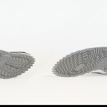 Sneakers och skor Nike Dunk Low Grå | HF0391-001, 1