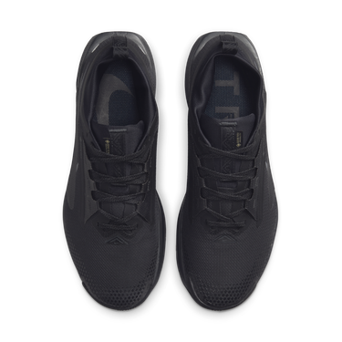 Sneakers och skor Nike Pegasus Trail 5 GORE-TEX Svart | FQ0908-002, 1