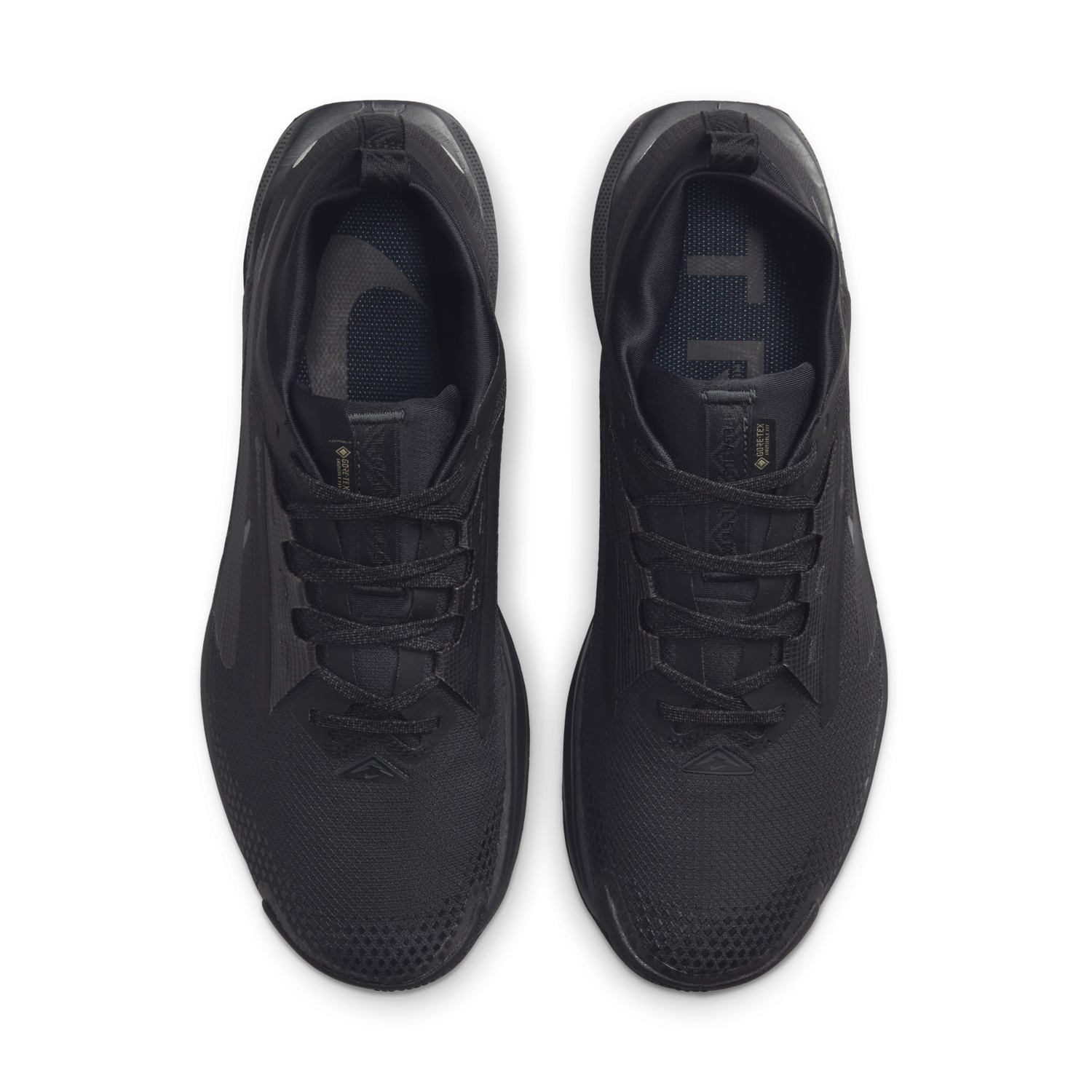 Sneakers och skor Nike Pegasus Trail 5 GORE-TEX Svart | FQ0908-002, 1