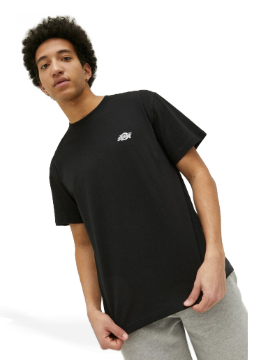 T-shirt Dickies Cotton T-shirt Svart | DK0A4YAIBLK1
