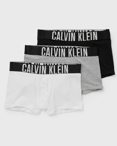 Boxare CALVIN KLEIN INTENSE POWER CTN 3P Trunk Flerfärgad | 000NB3608AMP1, 0