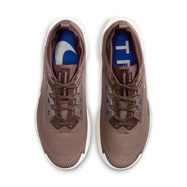 Sneakers och skor Nike Pegasus Trail 5 GORE-TEX SP Brun | HQ7494-200, 1