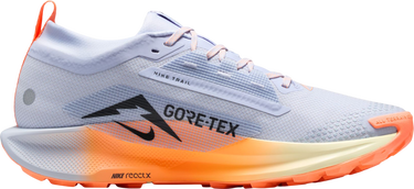 Sneakers och skor Nike Pegasus Trail 5 GORE-TEX Flerfärgad | fq0908-011, 3