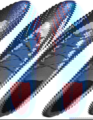 Sneakers och skor adidas Performance Predator Accuracy.1 L SG Blå | if2291, 1