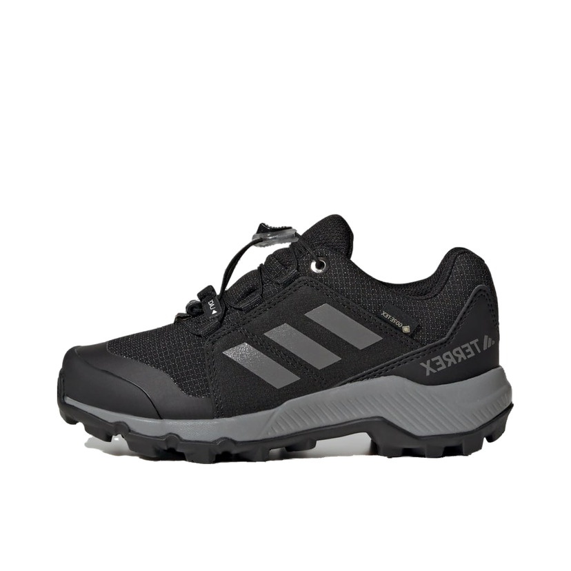 Sneakers och skor adidas Performance Terrex GORE-TEX Hiking Shoes Svart | IH5511