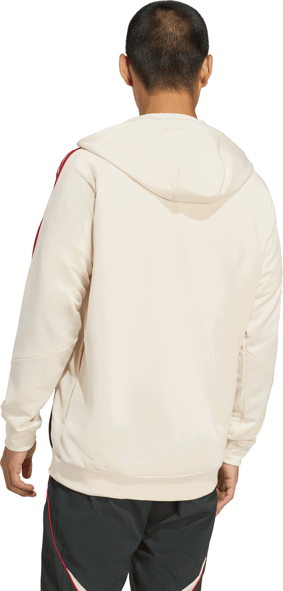 Sweatshirt adidas Originals Liverpool FC Tiro Training Hoodie Vit | jv9018, 1