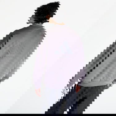 Sweatshirt adidas Originals Basketball Crewneck Sweatshirt UNISEX Šedá Purpur | IX1966, 4