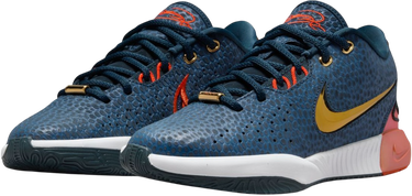 Sneakers och skor Nike LeBron XXI SE Blå | FV3606-400, 2