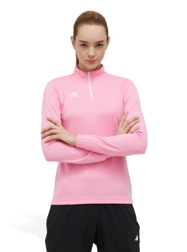 T-shirt adidas Originals T-shirt Entrada 22 Rosa | hc5045