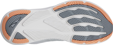 Sneakers och skor Altra Running Altra Experience Flow 2 Grå | al0a85rf-2201, 1