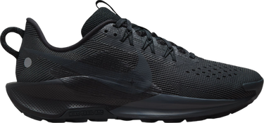 Sneakers och skor Nike Pegasus Trail 5 Svart | dv3865-005, 0