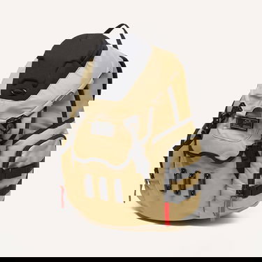 Ryggsäck OAKLEY Backpack Bathroom Sink Rc 21 l Beige | FOS901477-32F, 2