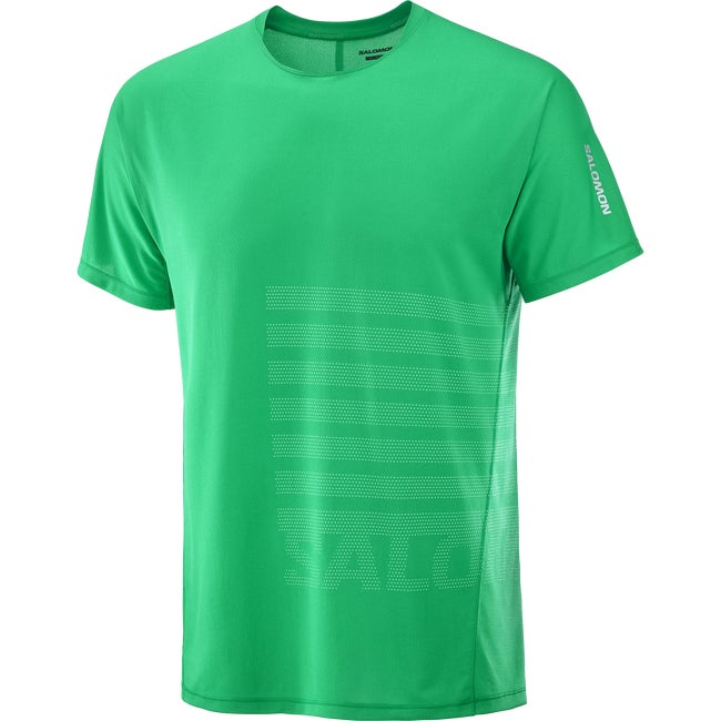 T-shirt Salomon Aero Graphic T-Shirt Grön | LC2694700, 1