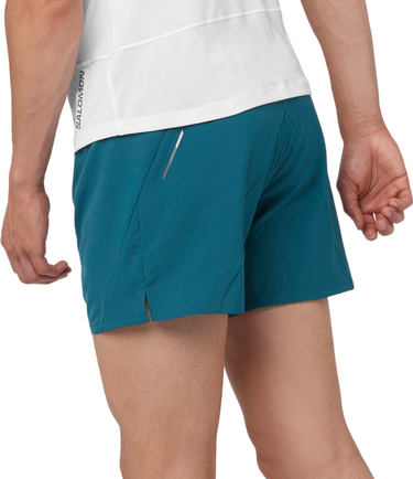 Shorts Salomon CROSS 5 SHORTS M Grön | lc2196900, 1