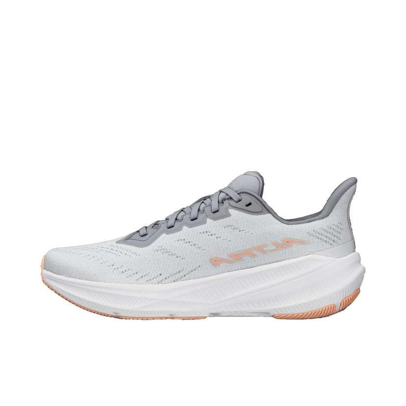 Sneakers och skor Altra Running Altra Experience Flow 2 Grå | al0a85rf-2201